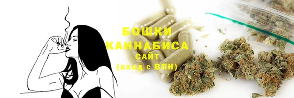 трава Арсеньев