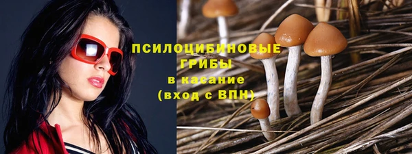стаф Армянск
