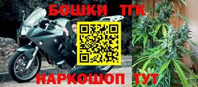 прущие грибы Дубна