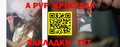 прущие грибы Дубна