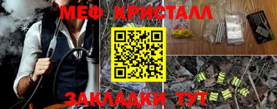 прущие грибы Дубна