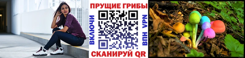 Псилоцибиновые грибы мицелий  Рыбинск 