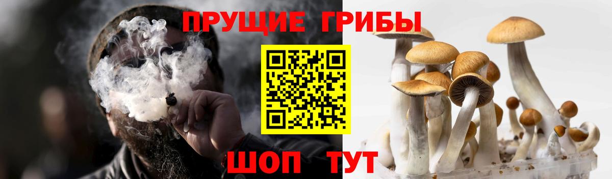 Галлюциногенные грибы мицелий  закладки  Рыбинск  Вход с VPN 